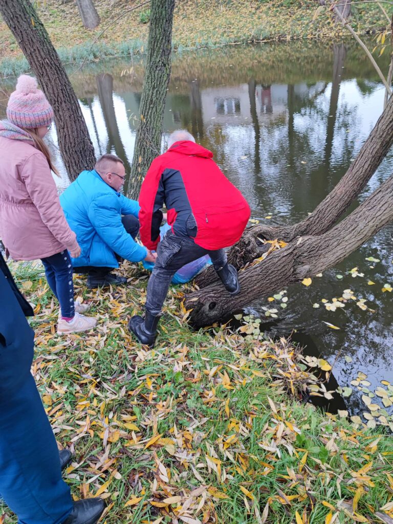 Gmina Komorniki Radni Wójt Stawy Zarybianie Wybory2024