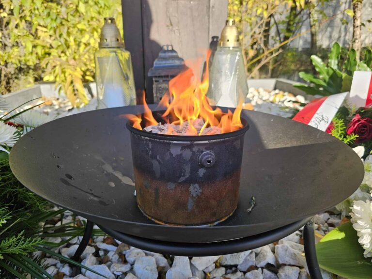 Gmina Komorniki Radni Wójt Stawy Zarybianie Wybory2024